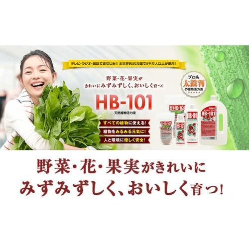 フローラ 天然植物活力液 HB-101 1リットル : ヒラキショウジ - 通販