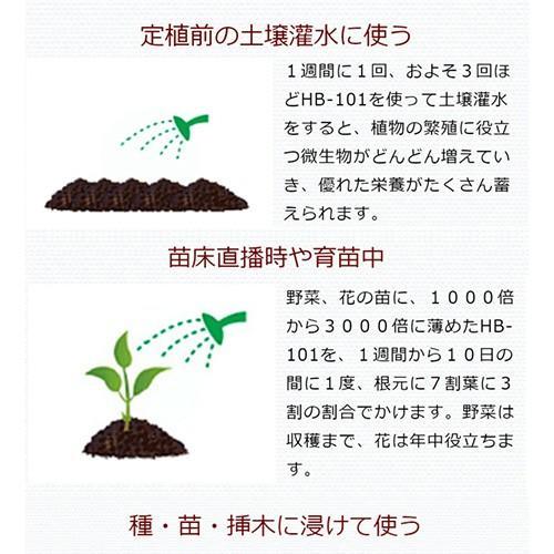 天然植物活力液 HB-101 1リットル｜gekitaitai｜10