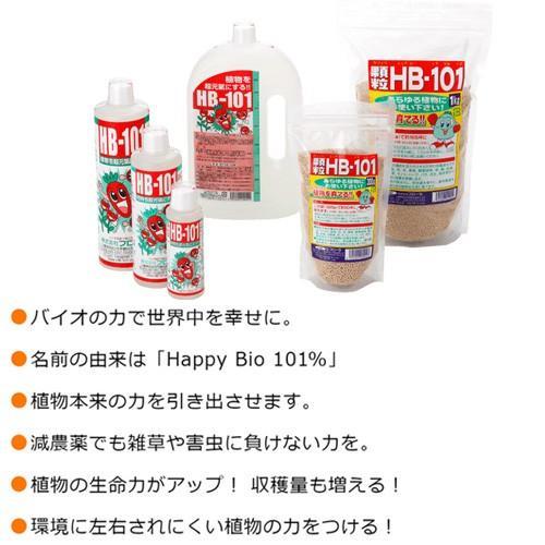 フローラ 天然植物活力液 HB-101 500cc : ヒラキショウジ - 通販