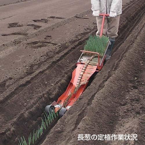 法人限定）ニッテン チェーンポット簡易移植器 ひっぱりくん 溝切器 