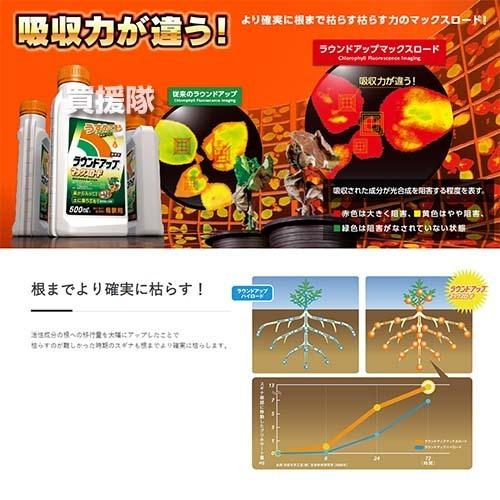 日産化学 ラウンドアップ 1L×2本入 マックスロード 原液タイプ 除草剤