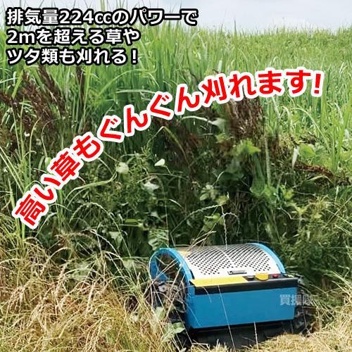 ラジコンはるさん、専用 Amazon.co.jp: 童友社(DOYUSHA) 2.4GHz 1/14 ランボルギーニ