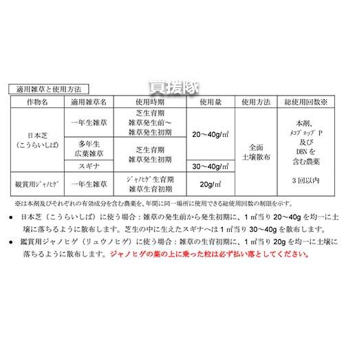 レインボー薬品 シバキープIII 粒剤 3kg 3箱_2