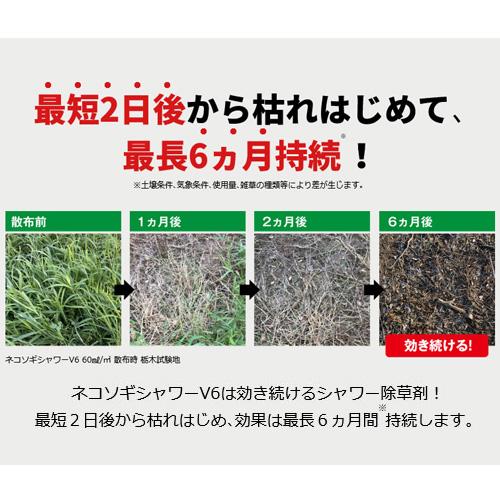 ネコソギ レインボー薬品 ネコソギシャワー V6 4L 除草剤 : ヒラキ