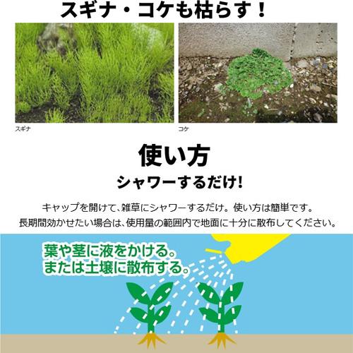 レインボー薬品 ネコソギシャワー V6 スタンドパック 2L 除草剤｜gekitaitai｜07