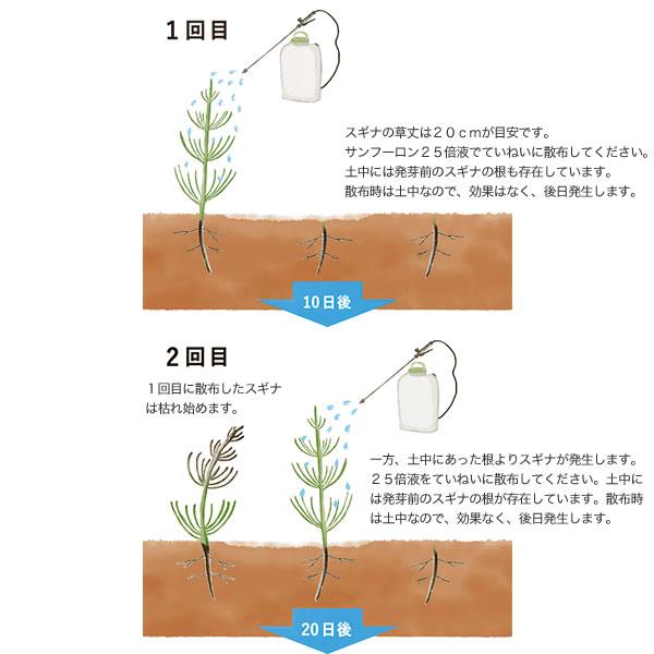 サンフーロン 除草剤 10L 2本セット 合計20L 除草 希釈 グリホサート系_12