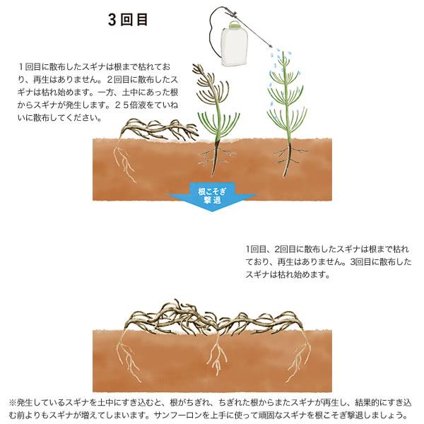 サンフーロン 除草剤 10L 2本セット 合計20L 除草 希釈 グリホサート系_13