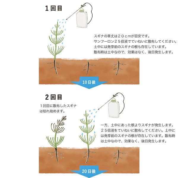 サンフーロン 除草剤 500ml 10本セット 合計5L ラウンドアップのジェネリック農薬 除草 希釈 グリホサート系｜gekitaitai｜13