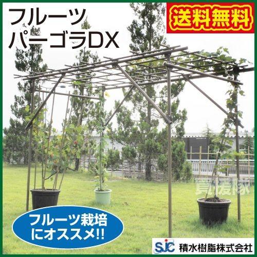 セキスイ （法人限定）フルーツパーゴラDX : ヒラキショウジ
