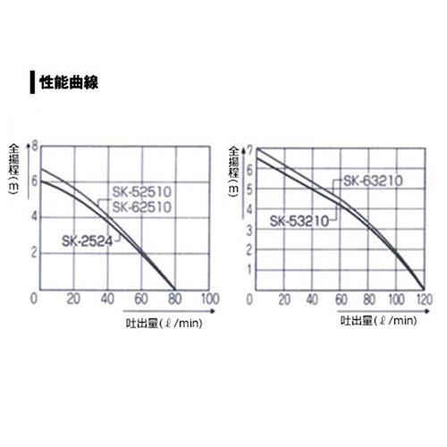 工進（KOSHIN） 水中ポンプ ポンディ 海水用 SK-62510 60Hz : ヒラキ