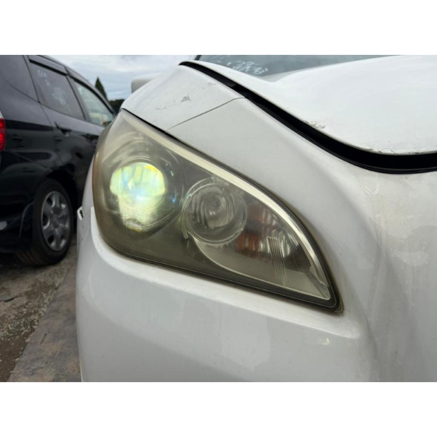 フーガ 370GT TypeS 前期 (KY51 Y51) HID 右ヘッドライト 打刻E