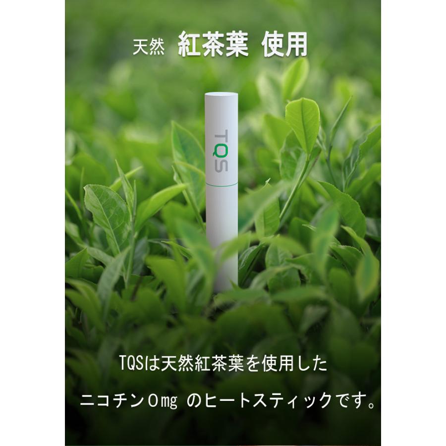 加熱式たばこ スティック 電子タバコ ヒートスティック ニコチン0 ニコチンゼロ アイコス Iqos 互換機 禁煙 たばこ風 レギュラー ミント Tqs 正規品 品質が