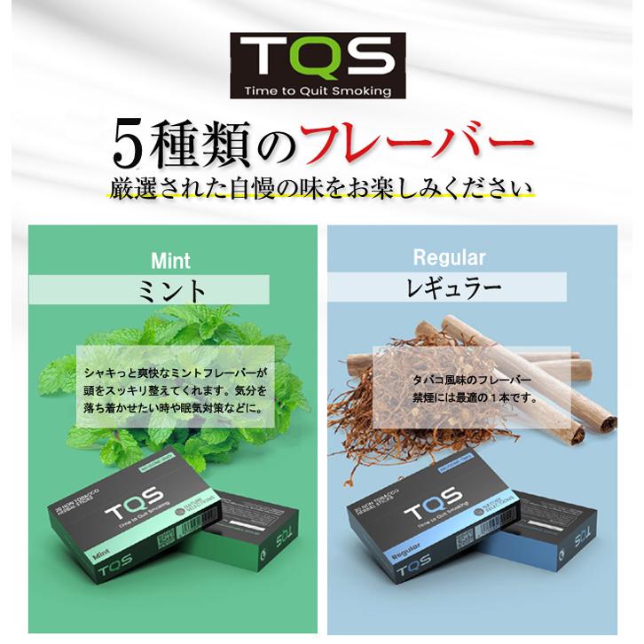 加熱式たばこ スティック 電子タバコ ヒートスティック ニコチン0 ニコチンゼロ アイコス Iqos 互換機 禁煙 たばこ風 レギュラー ミント Tqs 正規品 品質が