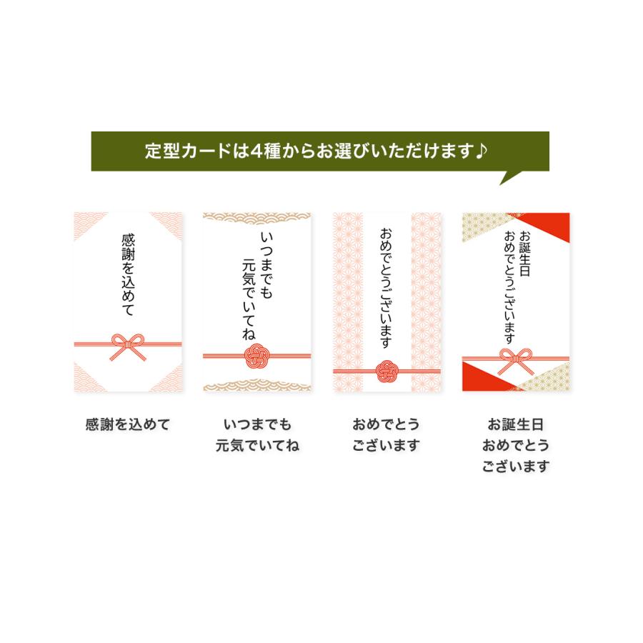 月桂冠 数量限定 日本酒 お酒 お年賀 ギフト 純米大吟醸 本醸造 純金箔