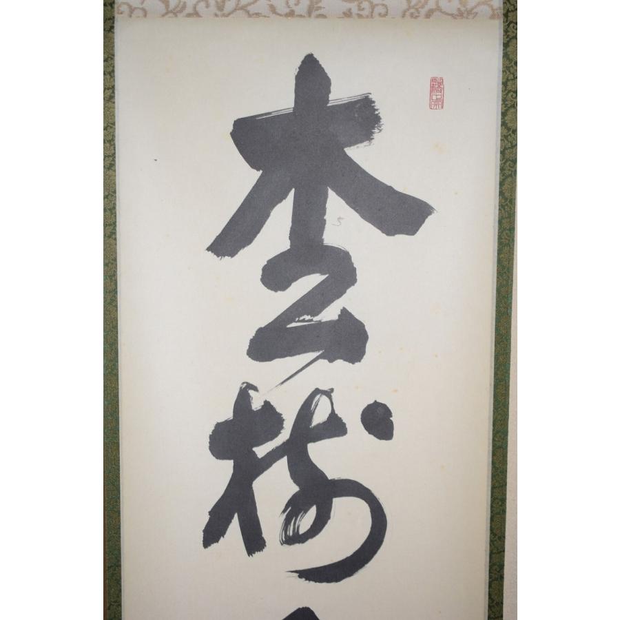 茶道具 掛軸 妙心寺 第27代管長 松山 萬密 「松樹千年翠」 掛け軸 01