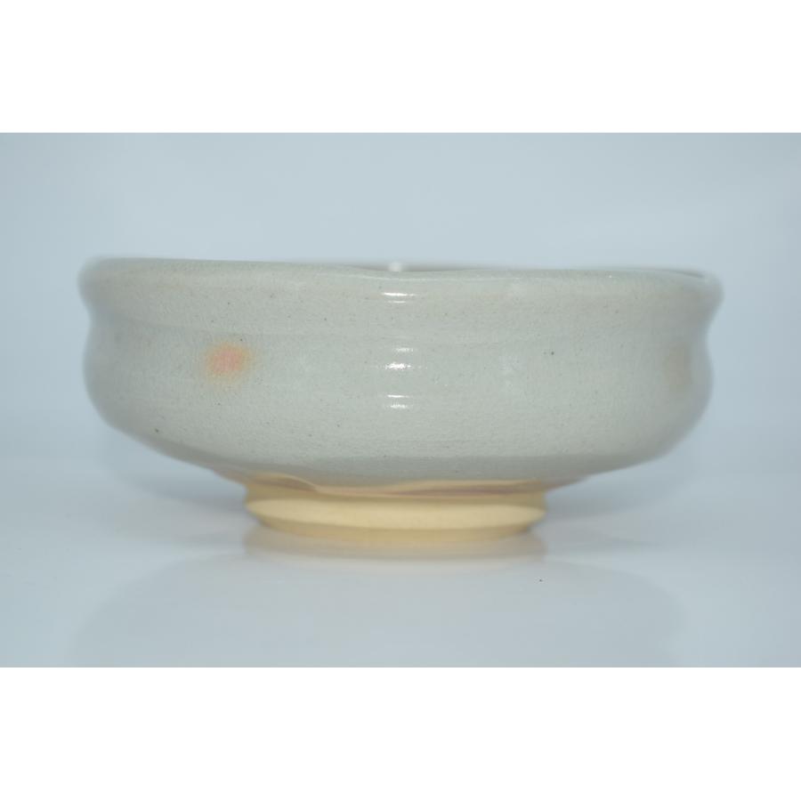 茶道具 抹茶茶碗 萩 馬盥 平茶碗 渡辺 栄泉 作 茶道 18-6604 : 月香園