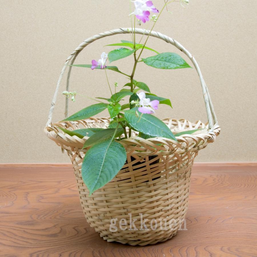 茶道具 花入 末広籠 玄々斎好写