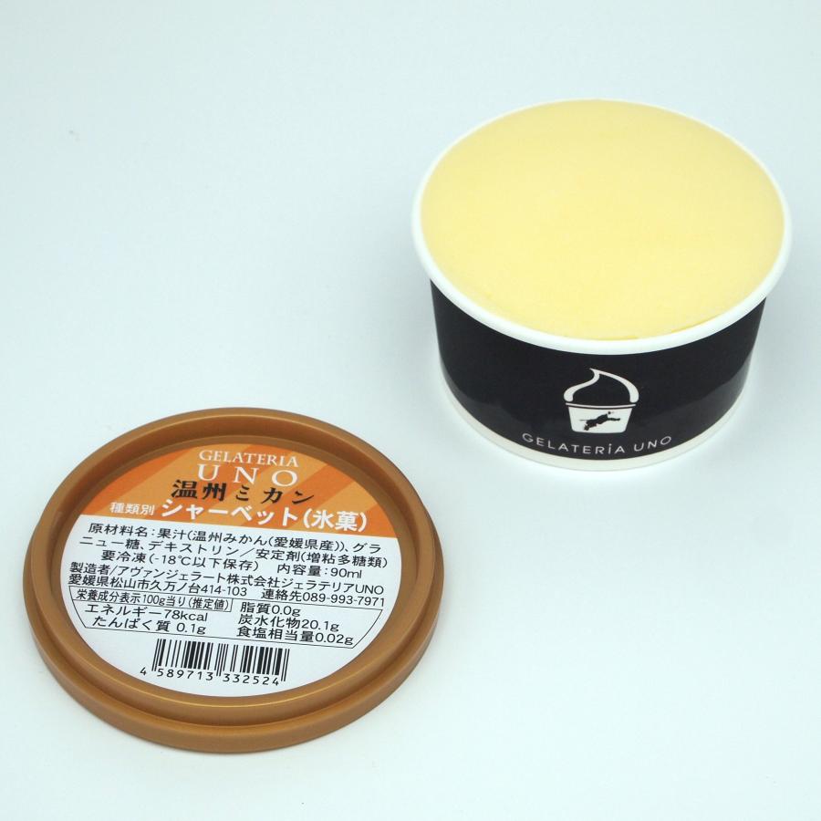 ジェラテリアUNO おまかせ愛媛産 柑橘 ジェラート 6個 詰め合わせ