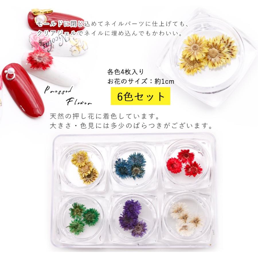 小さなお花の押し花 ドライフラワー 6色セット Uvレジン ネイル アート D 0126 プロ愛用ジェルネイル通販 Gelne 通販 Yahoo ショッピング