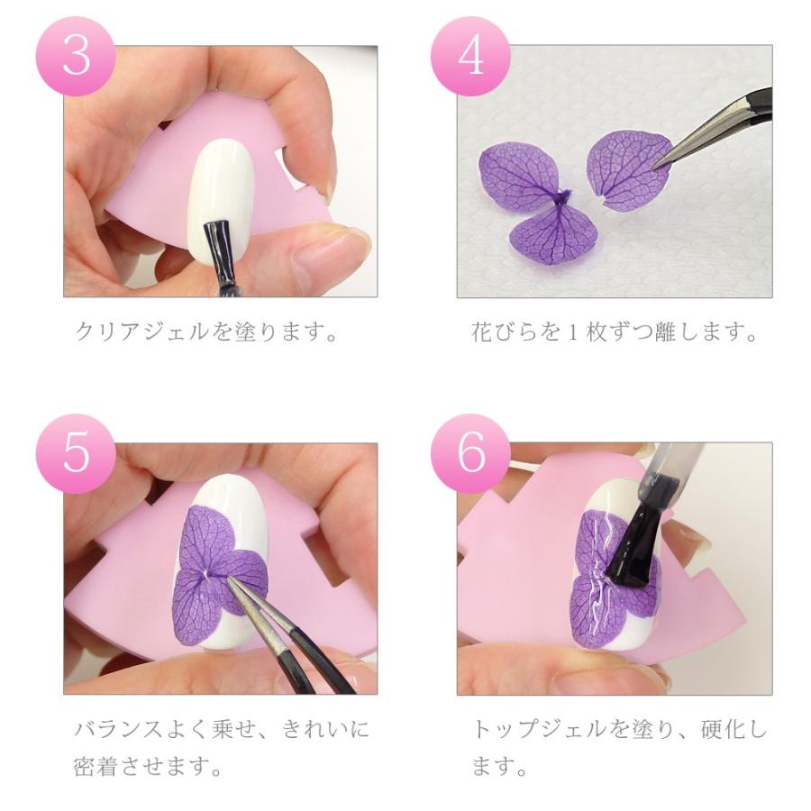 美しい紫陽花フラワー 12色セット ドライフラワー あじさい レジン