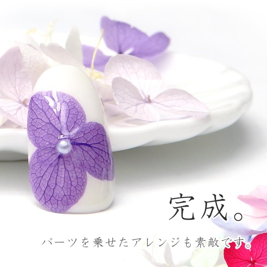 美しい紫陽花フラワー 12色セット ドライフラワー あじさい レジン