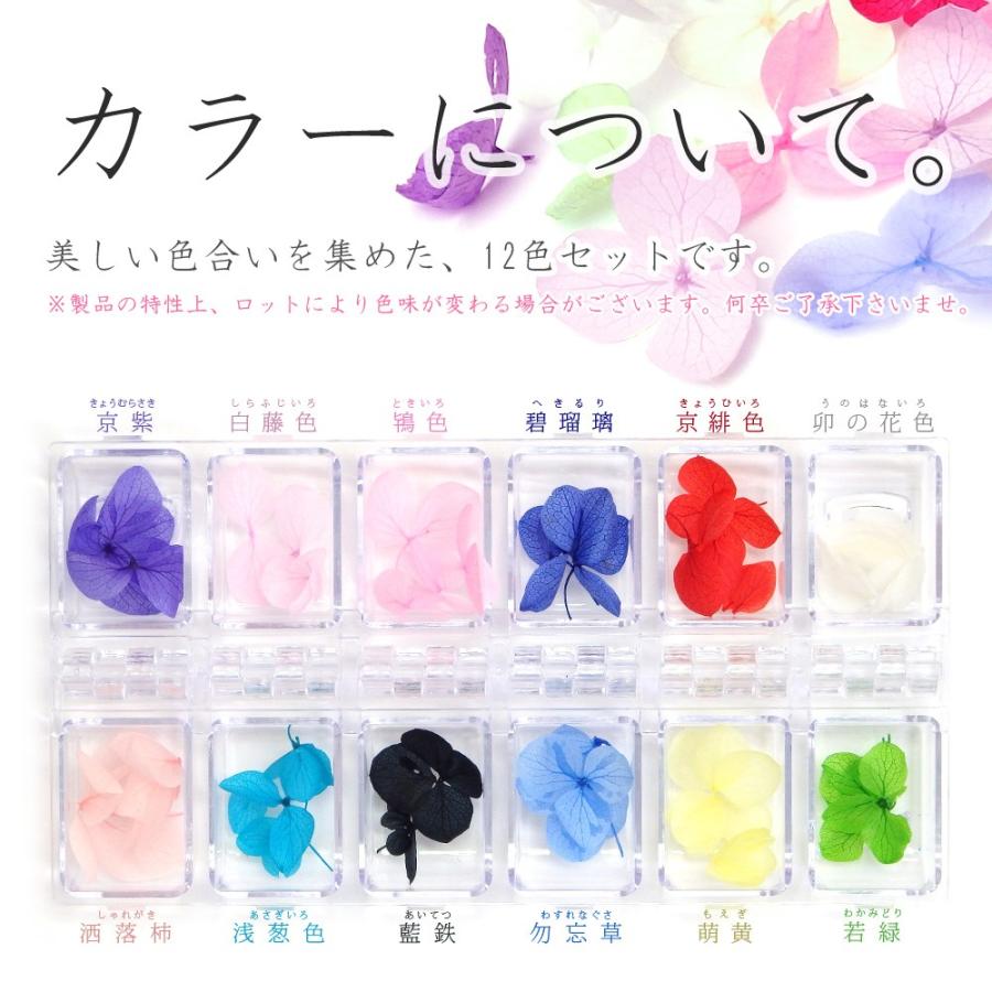 美しい紫陽花フラワー 12色セット ドライフラワー あじさい レジン