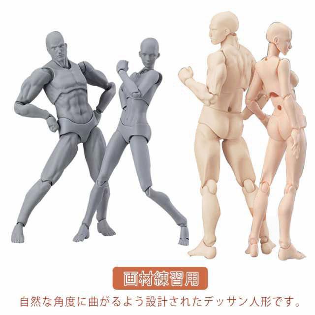 デッサン人形 楽天市場】送料無料 デッサンドール デッサン人形 モデル人形
