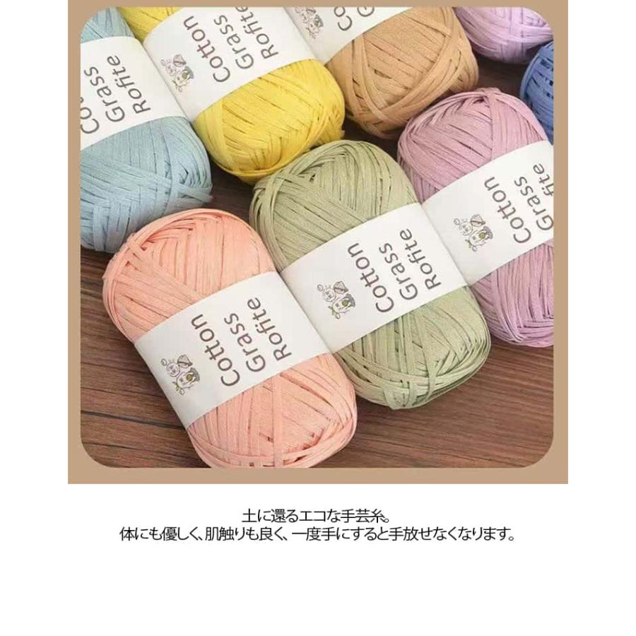 2玉入】 コットンラフィア ラフィア 毛糸 洗える Raffia 糸 夏糸 綿糸