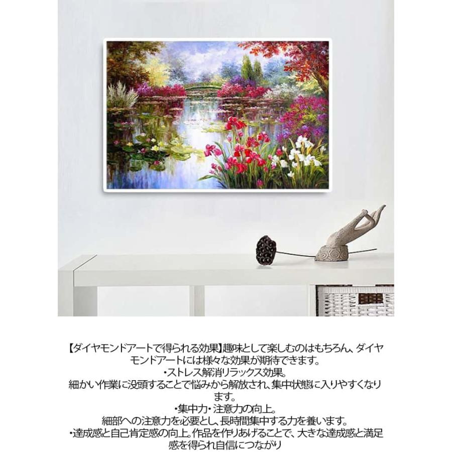 50×40cm 5D ダイヤモンドアート キット フル 刺繍キット 30×40cm 花