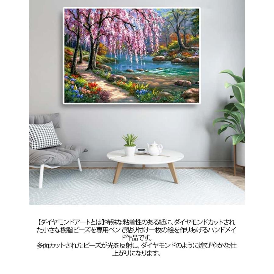 50×40cm 5D ダイヤモンドアート キット フル 刺繍キット 30×40cm 花
