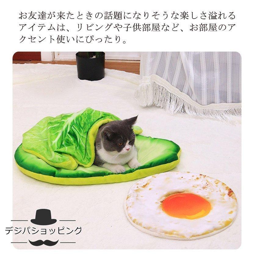 トースト型わ毛布座布団目玉焼き布団洗えるピザ面白いアボカドベーコン四季通用 |  | 04