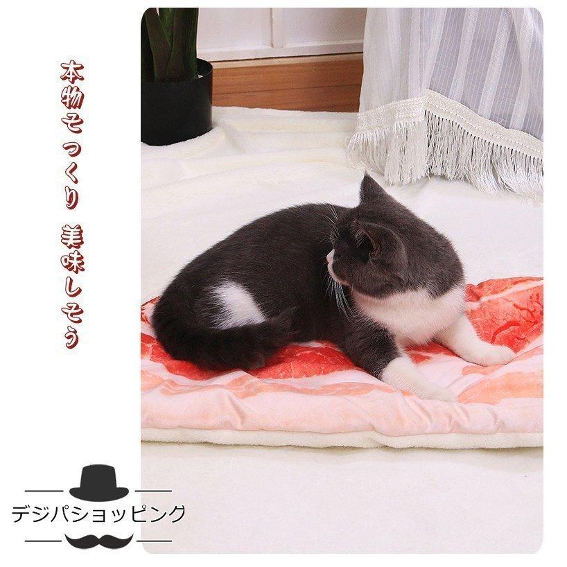 トースト型わ毛布座布団目玉焼き布団洗えるピザ面白いアボカドベーコン四季通用 |  | 06