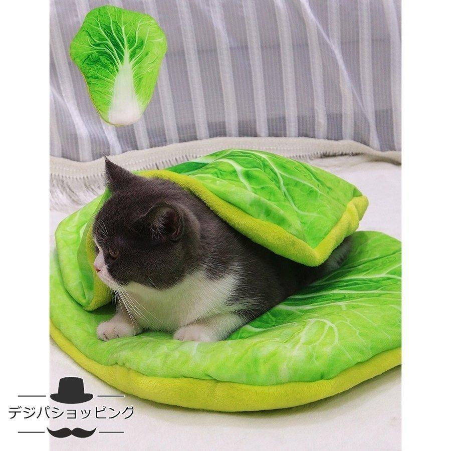 トースト型わ毛布座布団目玉焼き布団洗えるピザ面白いアボカドベーコン四季通用 |  | 08