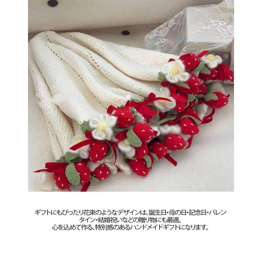 花束ブランケット かぎ針編みキット 手作り DIY セット イチゴ 花 毛糸