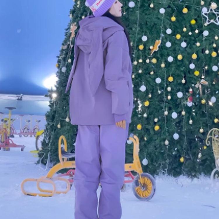 スノーボードウェア スキーウェア メンズ レディース 上下セット 裏