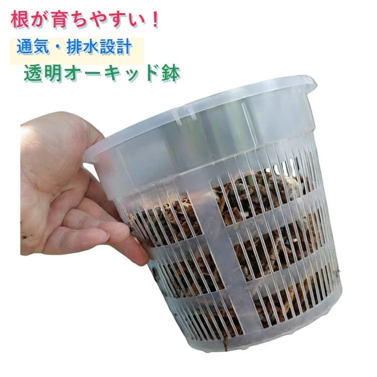 スワロフスキー　オーキッド 洋蘭鉢 10鉢セット 植木鉢 育苗ポット 蘭鉢 洋蘭鉢 胡蝶蘭鉢 オーキッドポット