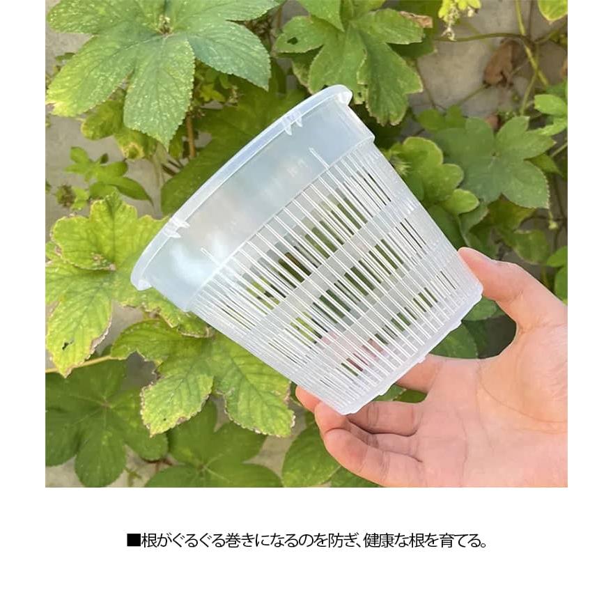 10鉢セット 植木鉢 育苗ポット 蘭鉢 洋蘭鉢 胡蝶蘭鉢 オーキッドポット