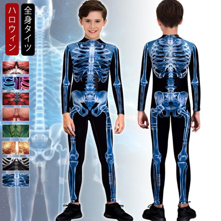 【デカすぎ！】ガイコツ　ハロウィン　人体模型　骨　ハロウィン　150cm デカすぎ！】ガイコツ ハロウィン 人体模型 骨 ハロウィン 150cm
