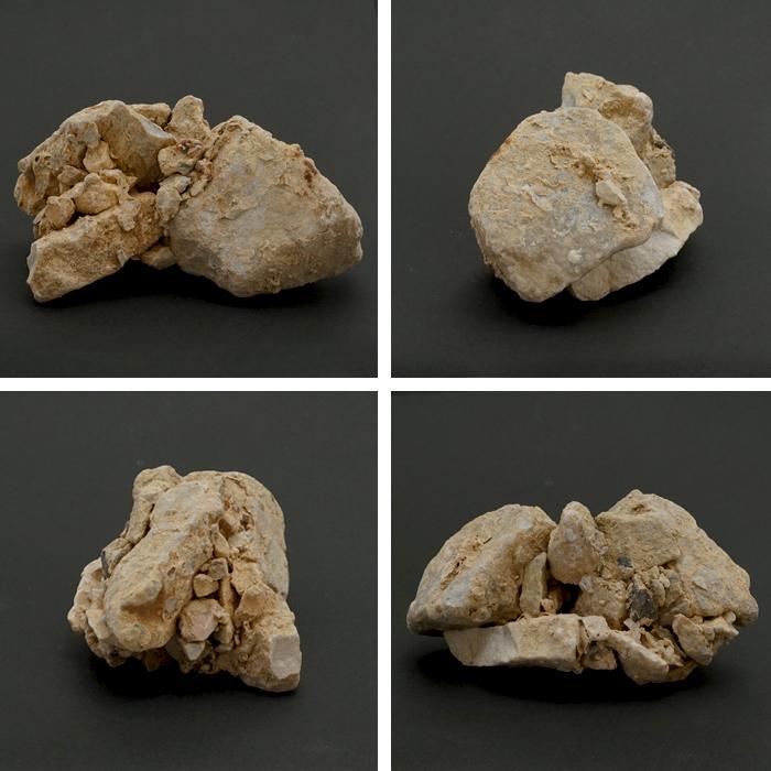 16本ミニボトル 中国酒 白酒 五粮液 高粱酒 三蛇酒 人参酒 鹿茸酒 竹葉青酒