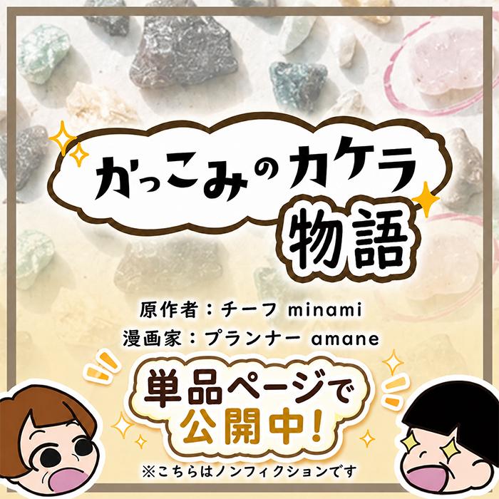 かっこみのカケラ MIX アクセサリーキット 山梨県 甲府市 オールド