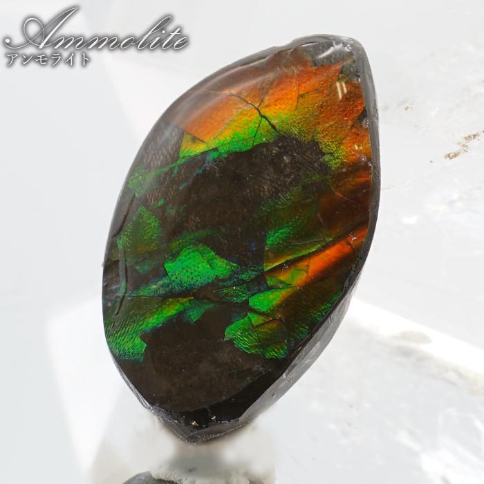 アンモライト ルース カナダ産 Ammolite 一点物 アンモナイト 化石