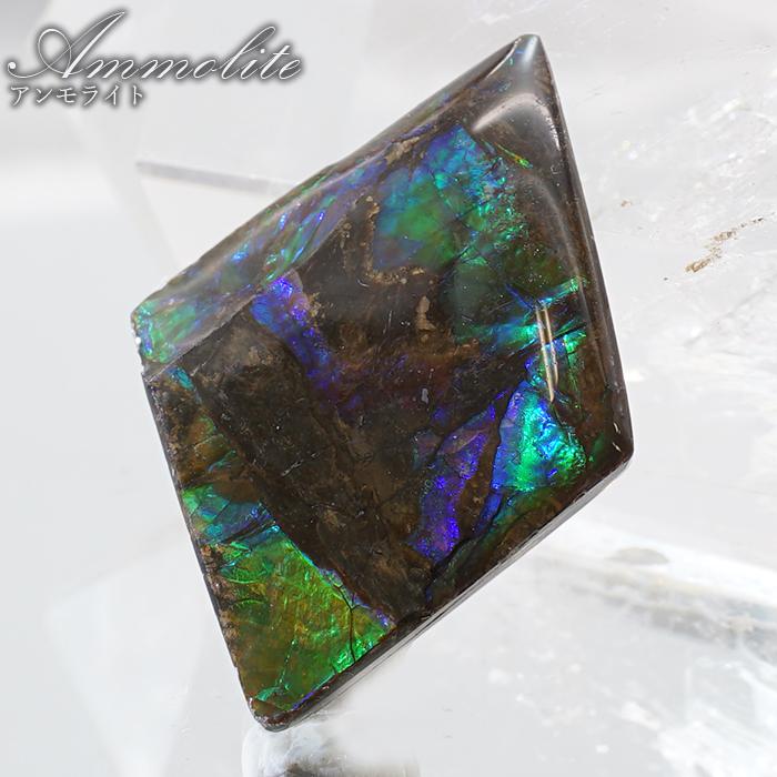 アンモライト ルース カナダ産 Ammolite 一点物 アンモナイト 化石
