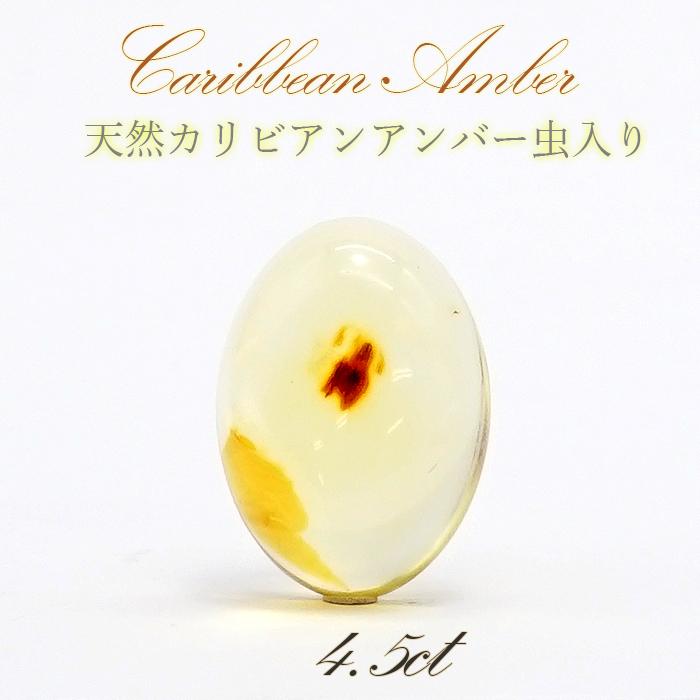 【一点物】 天然琥珀 天然カリビアンアンバー ルース 虫入り カリブ海周辺産 ゴールド 植物の化石 樹脂の化石 長寿 太陽 天然石 パワーストーン