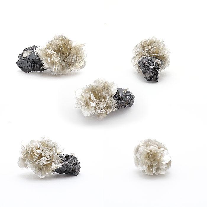 一点物】 キャシテライト Cassiterite 錫石 すずいし 酸化鉱物 原石