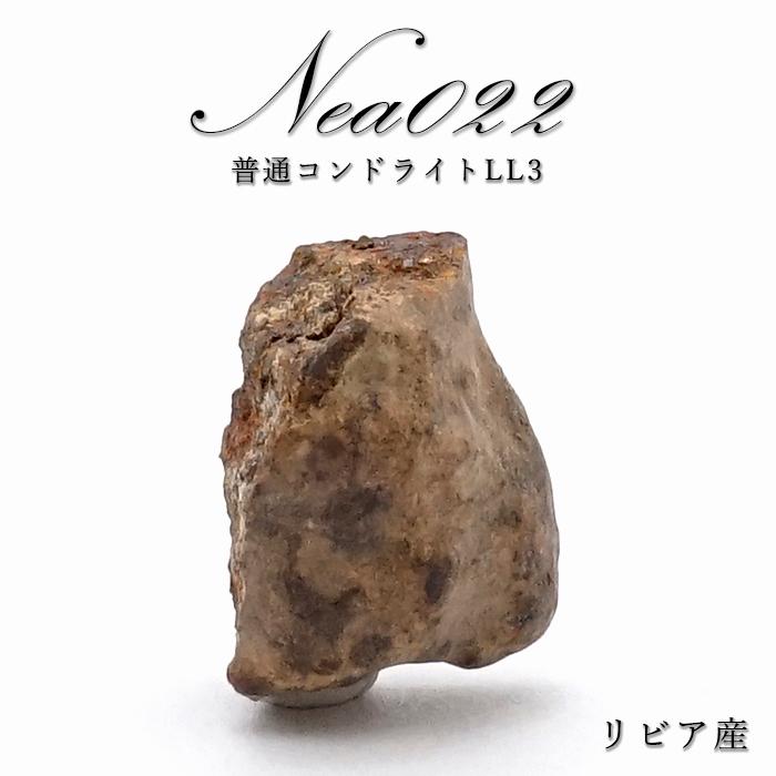 一点物】 NEA022 隕石 リビア産 普通コンドライトLL3 NEA022隕石