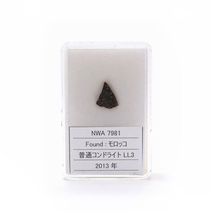 一点物】 NWA7981 隕石 モロッコ産 普通コンドライト LL3 コンドライト