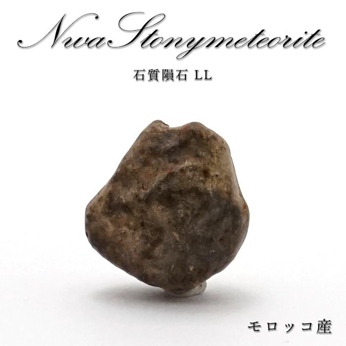 一点物】 Taza NWA859 モロッコ産 鉄隕石 19号タザ隕石 