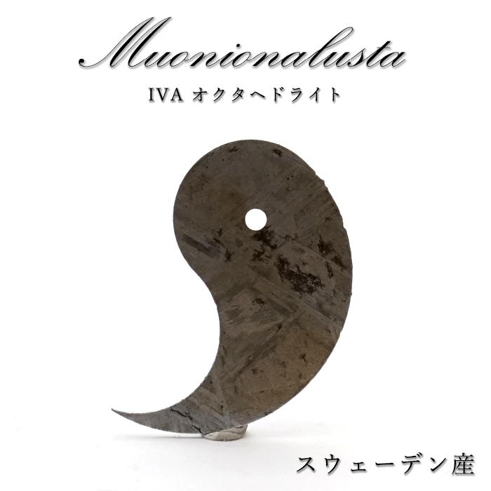 一点物】 ムオニオナルスタ隕石 スウェーデン産 IVA オクタヘドライト