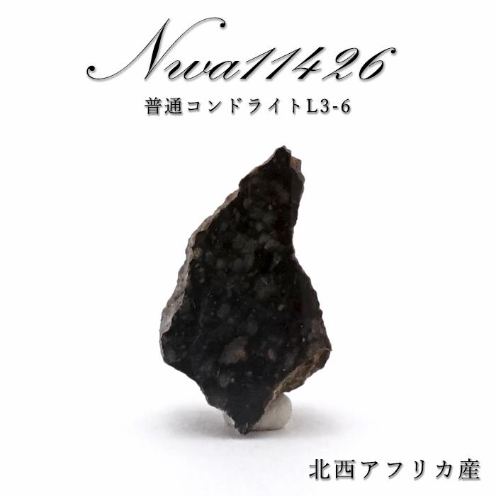 一点物】 NWA11426 隕石 北西アフリカ産 普通コンドライトL3-6