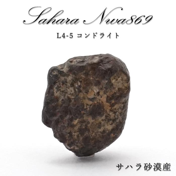 一点物】 サハラ NWA869 隕石 サハラ砂漠産 L4-5コンドライト NWA隕石